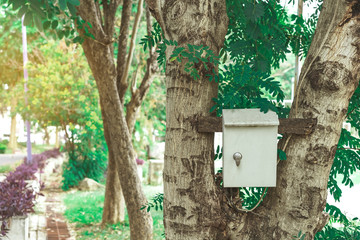 Old rusty electrical power control box on tree in the public park.