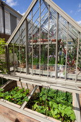 green house for grow plants