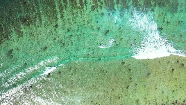 Partially dead coral reef in caribbean sea. Clear water but reduced marine life due to global warming and rising ocean temperature, Water texture