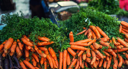 Bunches of carrots on a market stall. Fresh and organic vegetables at farmers market. Organic, agriculture products. Freshly, seasonal harvested vegetables. Bio, healthy food. Vegetarian food.