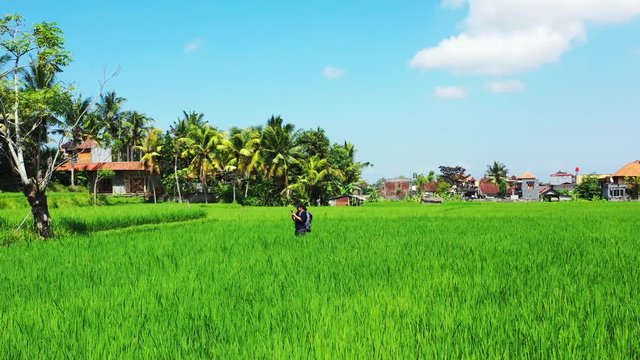 the tourist lost between rice fields checking the map on the phone or photographing landscape Bali, Indonesia