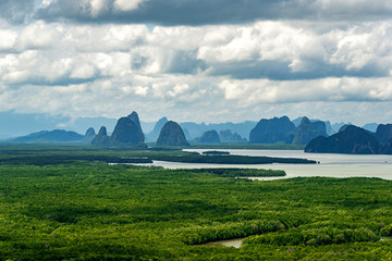 Green mangrove forest with limestone mountains and clouds background