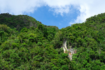 Green forest on limestone mountain with blue and white sky