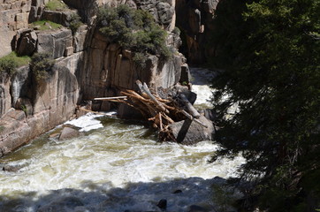 Fototapeta premium Late Spring in Wyoming: Debris Piled up in Shell Creek in the Bighorn Mountains