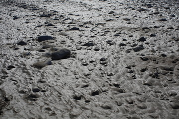 泥に覆われた地面