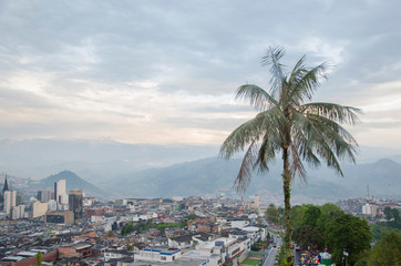 Fototapeta na wymiar Panoramic of Manizales with a palm tree