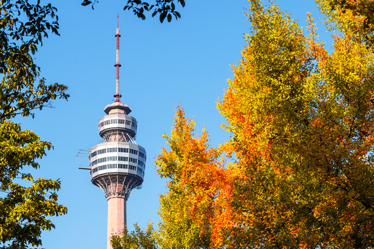 Daegu, South Korea - November 5, 2019: Daegu tower or 83 Tower is a symbol of Daegu city , this area is popular place to visit in Daegu city South Korea.