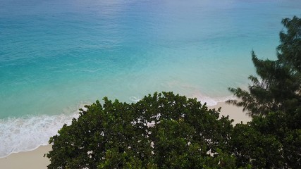 Flying behind trees to the ocean Seychelles island 4K
