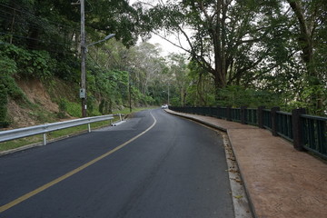 Obraz premium asphalt road in the forest