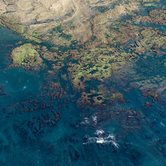 Fototapeta na wymiar vue aérienne de fonds marins rocheux sur l'île d'Oléron en France