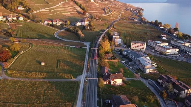 Vineyards train in Lutry, Switzerland