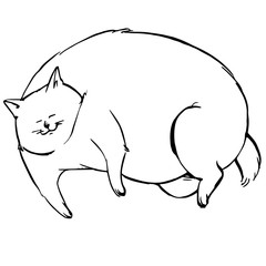 横たわっている大きな猫