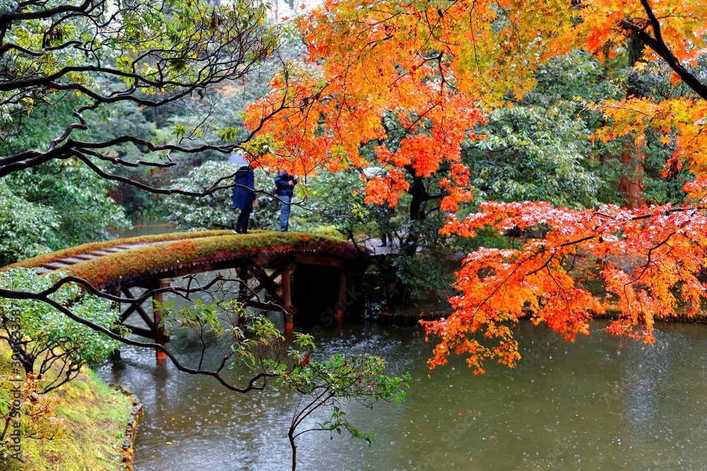 Wall mural autumn scenery of a japanese garden in a public park in kyoto japan, with view of tourists walking o