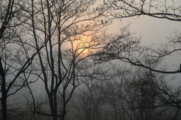 sunrise on misty morning
