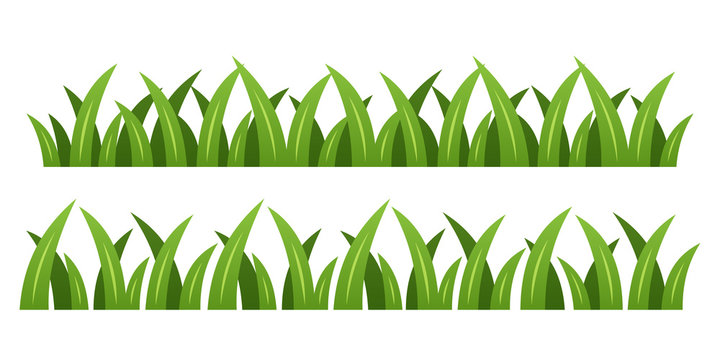 Green grass vector isolated illustration