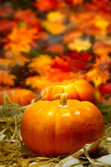 Naklejka na ściany i meble Thanksgiving Blessing Celebrating, Pumpkins, Leaves