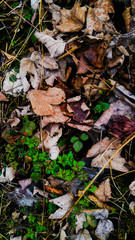 Herbstzeit