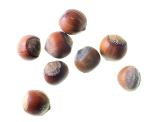 Hazelnuts nuts isolated on a white background