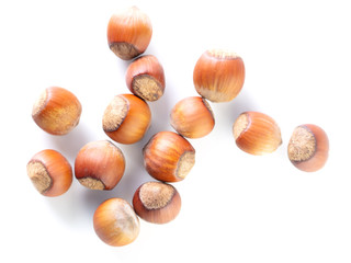 Hazelnuts nuts isolated on a white background