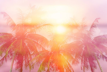 Summer tropical backgrounds with palms