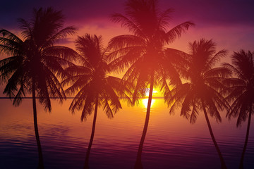 Naklejka na ściany i meble silhouette palm tree and sea at sunset summer nature background