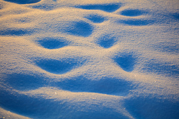 Snow at dawn in the winter sun