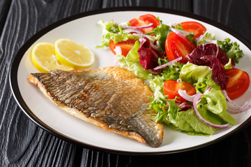 Tasty fried dorado fish fillet with fresh vegetable salad close-up on a plate. horizontal