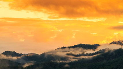 Fototapeta premium Landscape of misty over forest on the mountains slope in a nature morning time