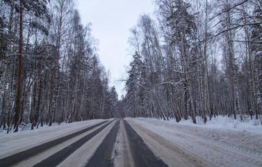 Asphalt road in the forest covered with snow