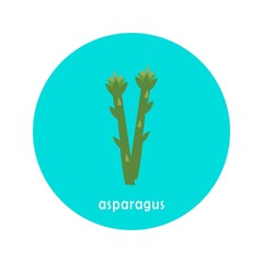 Vector asparagus sprout icon isolated on white background.  Flat blue circle icon with vegetable. Healthy food. 