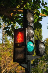 the traffic light in the Park