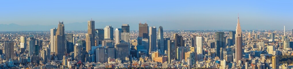 Obraz premium 東京新宿エリア全景 panoramic of Shinjuku, the capital tokyo