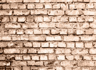 Brick wall texture