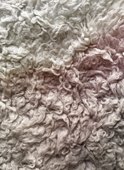 Wool texture