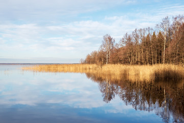 autumn landscape on a natural lake with soft colors and calm water
