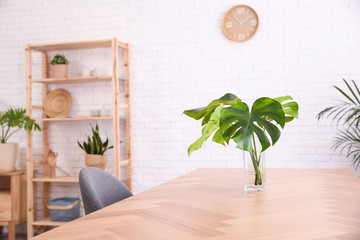 Fresh leaves of tropical plants on table in room. Home decoration