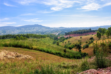 Fototapeta premium landscape in the mountains