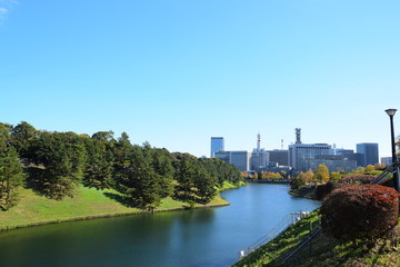 Obraz premium 皇居外苑(Koukyo gaien)