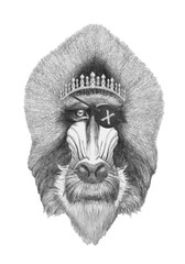 Portrait of Mandrill with diadem and eye patch. Hand-drawn illustration. 