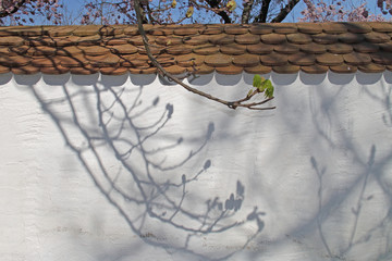 Schatten © Asray Laleike