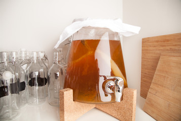 kombucha home brew with large scoby 