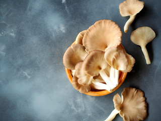 Indian oyster or lung oyster mushroom.