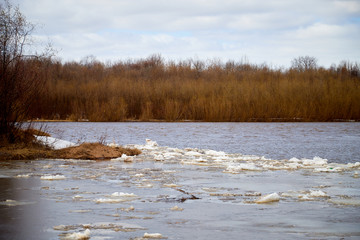 Spring landscape with river, yellow grass on the shore, trees without leaves and blue sky with white clouds in the background
