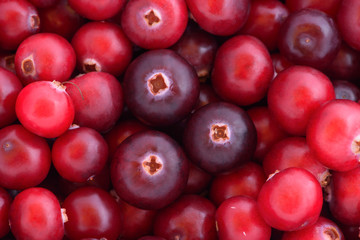 The background of the cranberries (Oxycoccus), the view from the top.