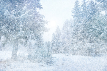 Fototapeta na wymiar beautiful winter landscape trees in snow sun evening bokeh