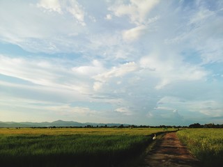 Obraz premium landscape with blue sky and clouds
