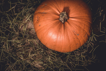 Top view of rustic, large orange pumpkin from homegrown organic harvest on dark wood background with hay in the countryside - Concept of thanksgiving celebration or halloween decoration