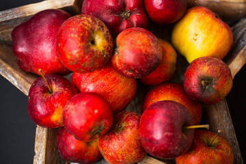 Red and yellow autumn apples in wooden tray, fresh tasty colorful seasonal fall apples fruits