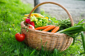 Organic vegetables basket