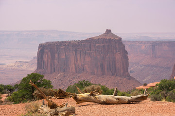 landscape in canyonlands National park in the united states of america